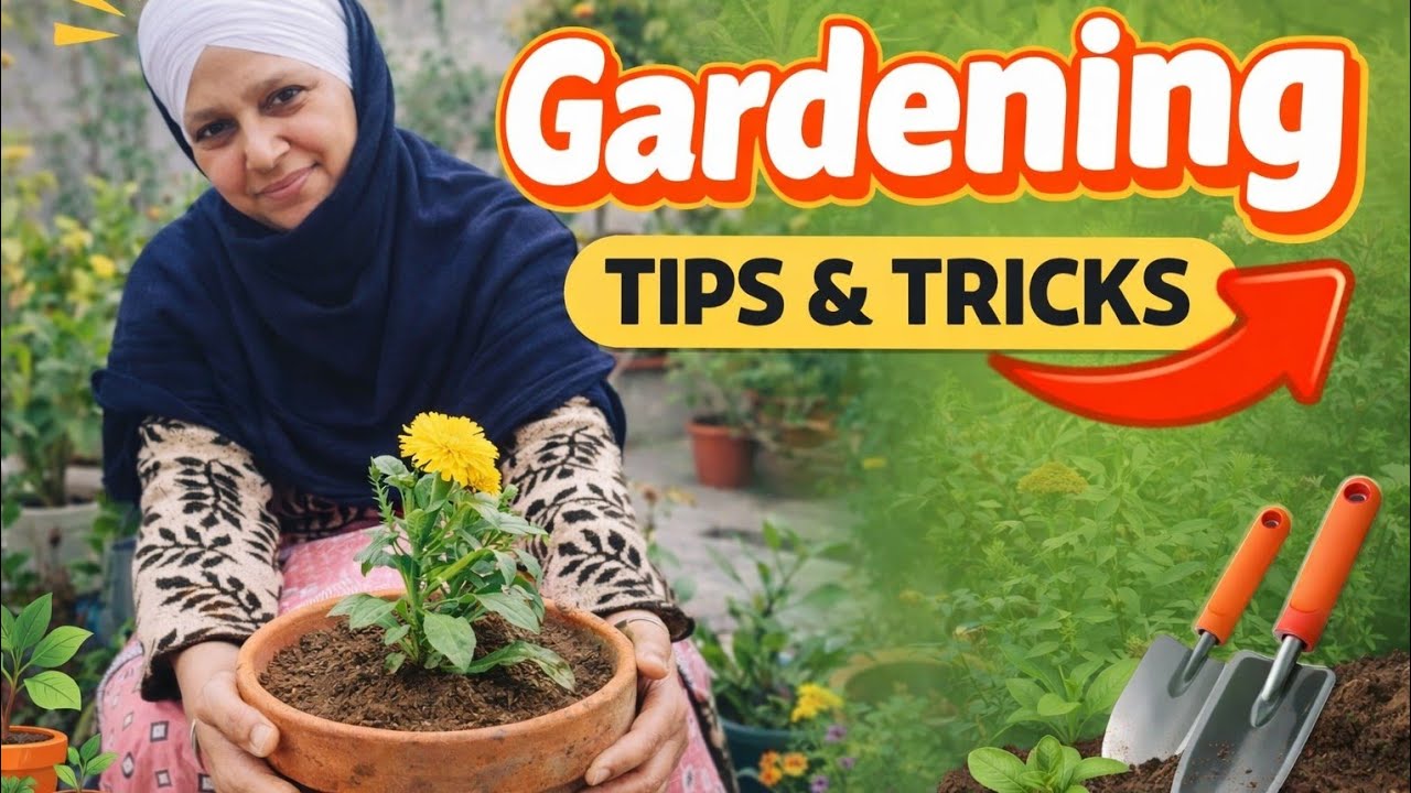 ਘੱਟ ਮਿੱਟੀ ਨਾਲ ਕਿਵੇਂ ਭਰੀਏ ਗਮਲਾ🙋🏼‍♀️Kitchen Waste se Gamla kaise fill Kiya jata hai 