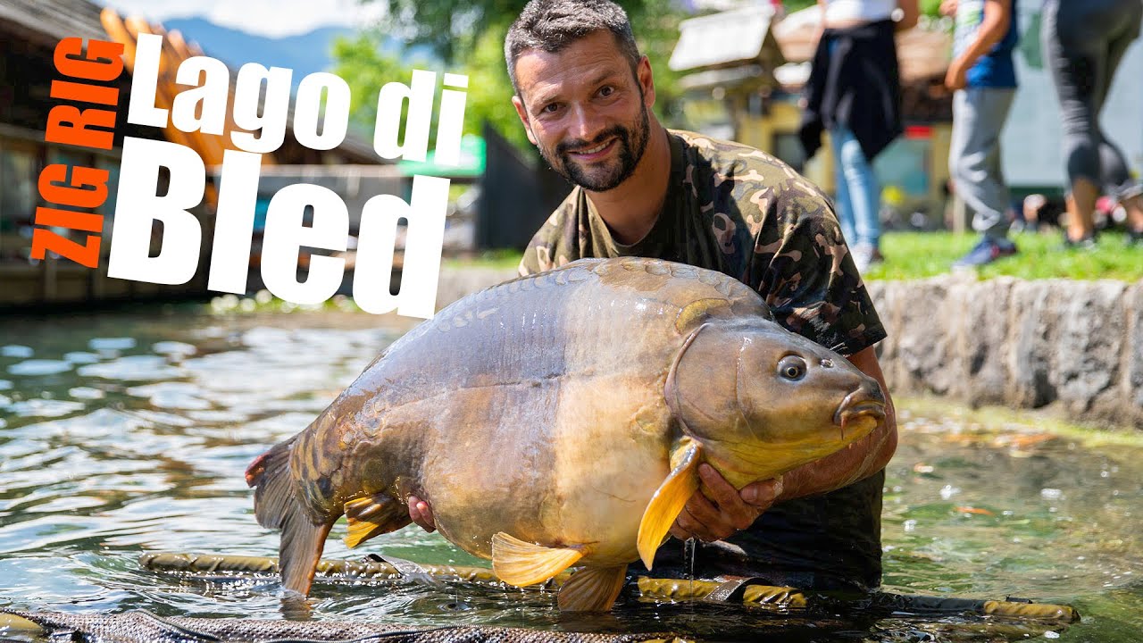 Primo approccio ad un lago nuovo | ZIG RIG | ep 1 con Riccardo Fanucchi