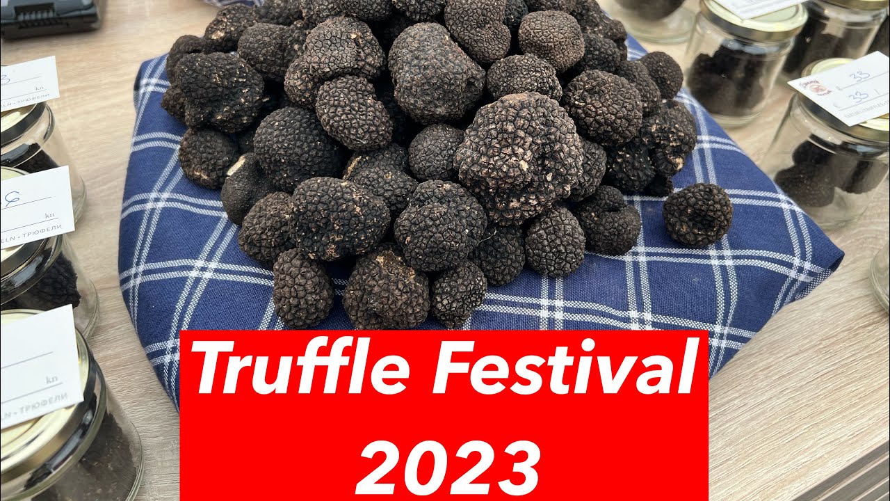 Today I visited the Zigante Truffle Festival.2023