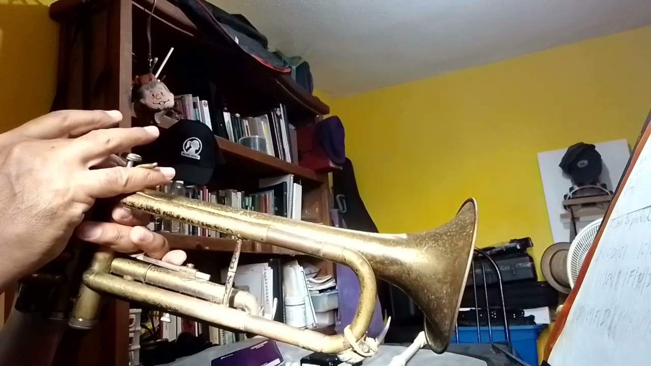 ROSAS ROJAS PARA UNA DAMA TRISTE (6to mes de práctica autodidacta) Jueves 15-01-2026