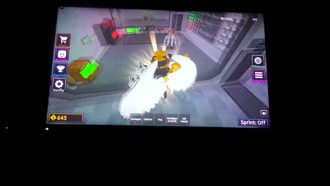 Messing with people on Roblox Ro-Bio
