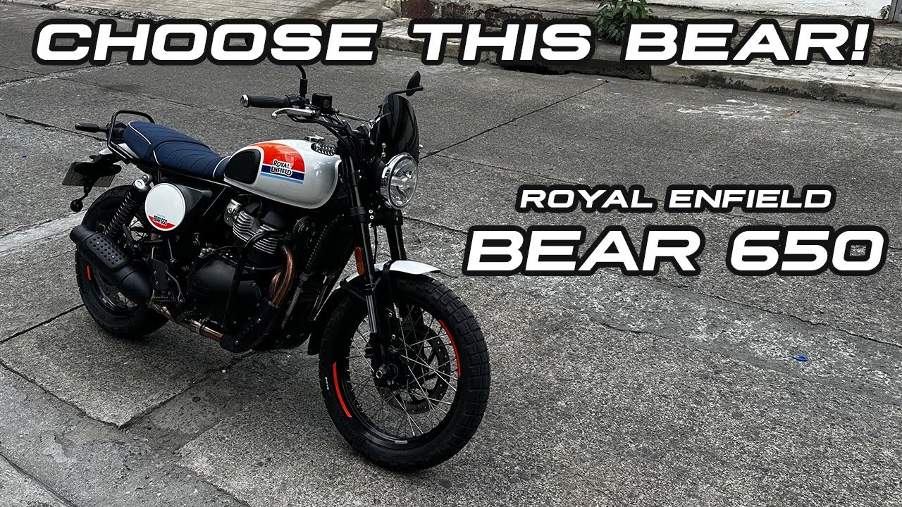 Why I'd choose the bear...650 | A road based review [English]