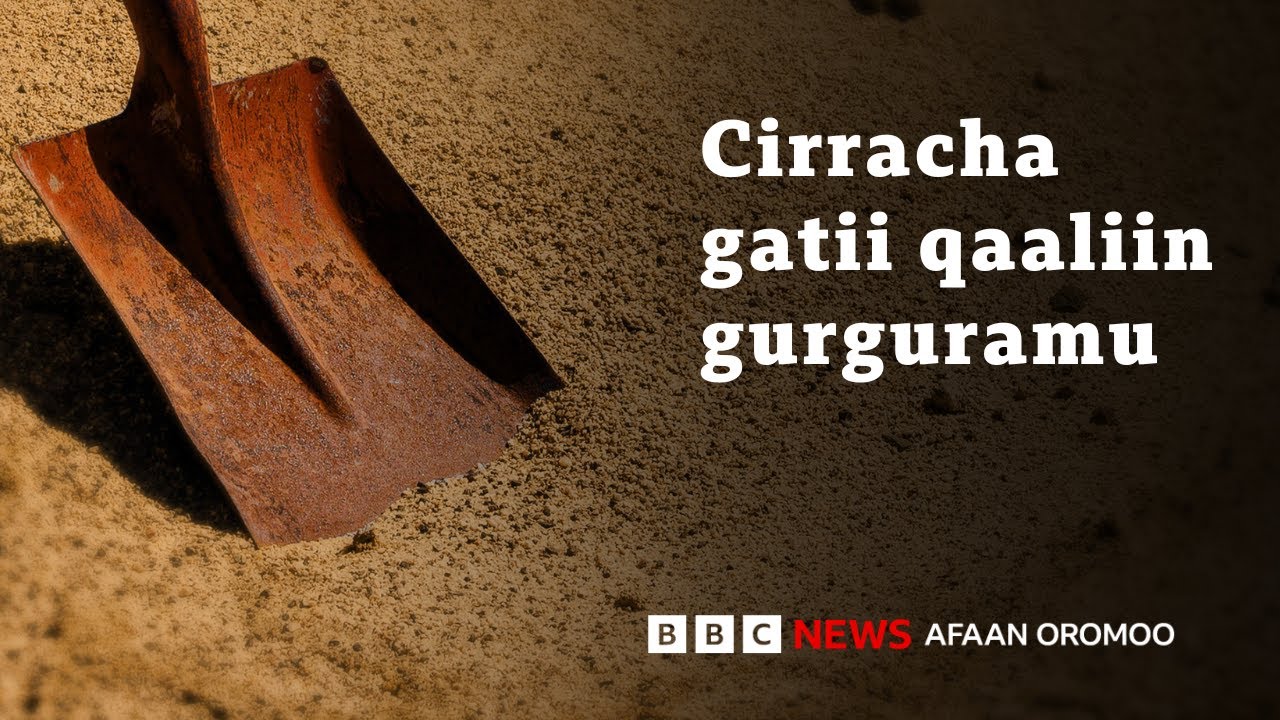Cirrachi maaliif hanga kana sadarkaa addunyaatti barbaadamaa ta’e? | BBC News Afaan Oromoo