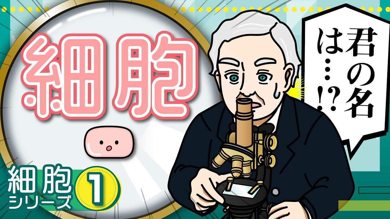 細胞～解剖生理の出発点～　細胞シリーズ①