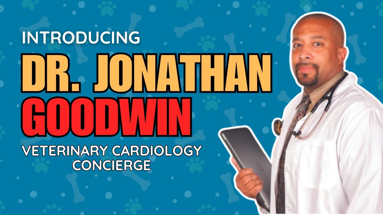 Intro To Your Veterinary Cardiology Concierge || #veterinarycardiology #veterinarymedicine #vetmed