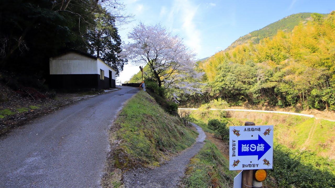 【険道★/土佐塩の道】高知県道30号 香北赤岡線 part 1【文代峠・4t制限区間】