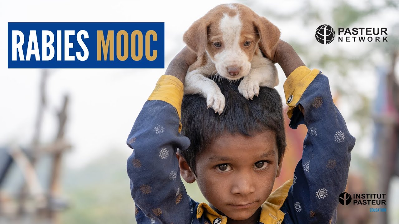 Rabies MOOC - Teaser