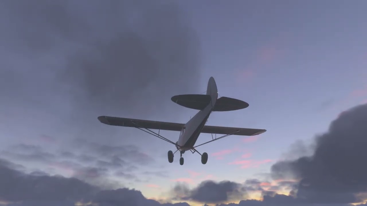 Microsoft Flight Simulator 2024_20260117020018
