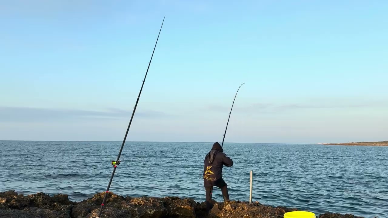Murena gigante a Rock Fishing! 😱🎣