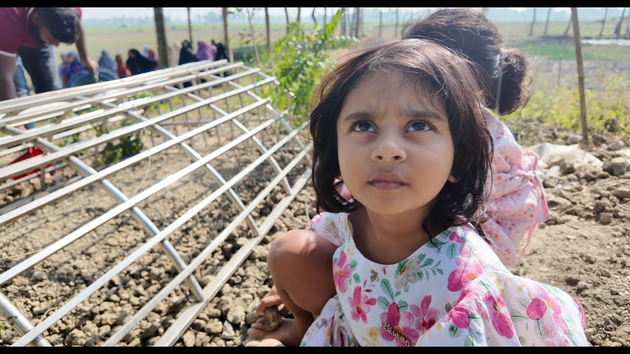 আজ মরলে কাল দুই দিন | Doyel Agro