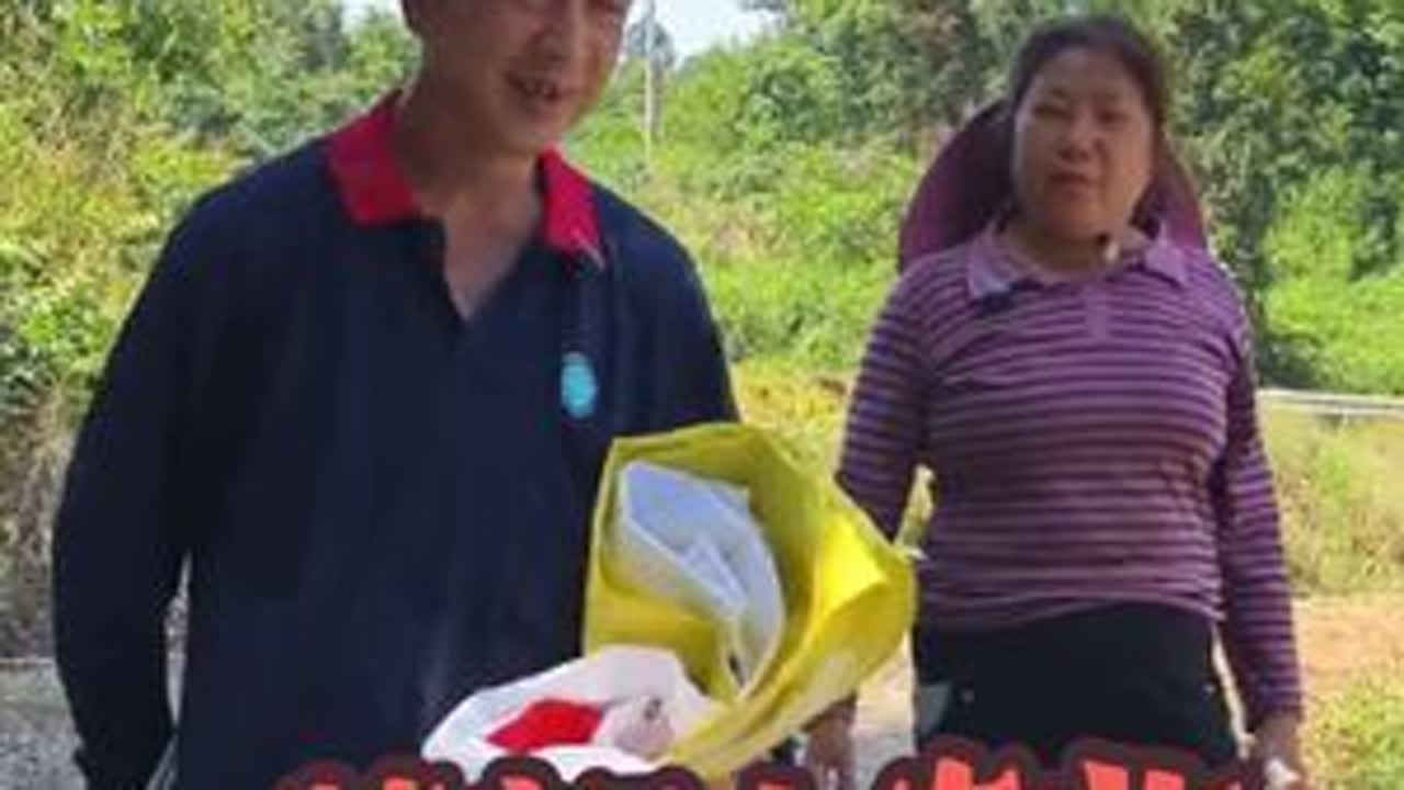 老七家菜籽大丰收，张秋不在家，婆婆妈主动提出去帮亲家收菜籽