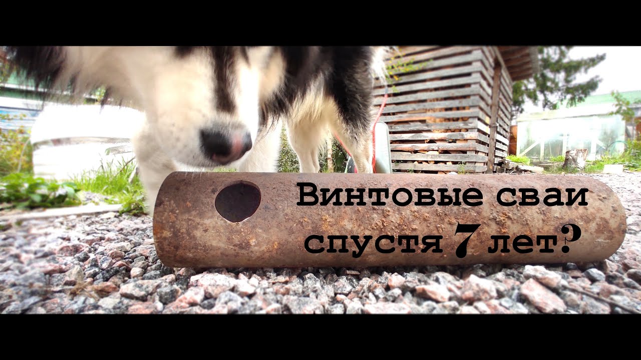 Винтовые сваи спустя 7 лет. Когда сгниют сваи и дом рухнет?