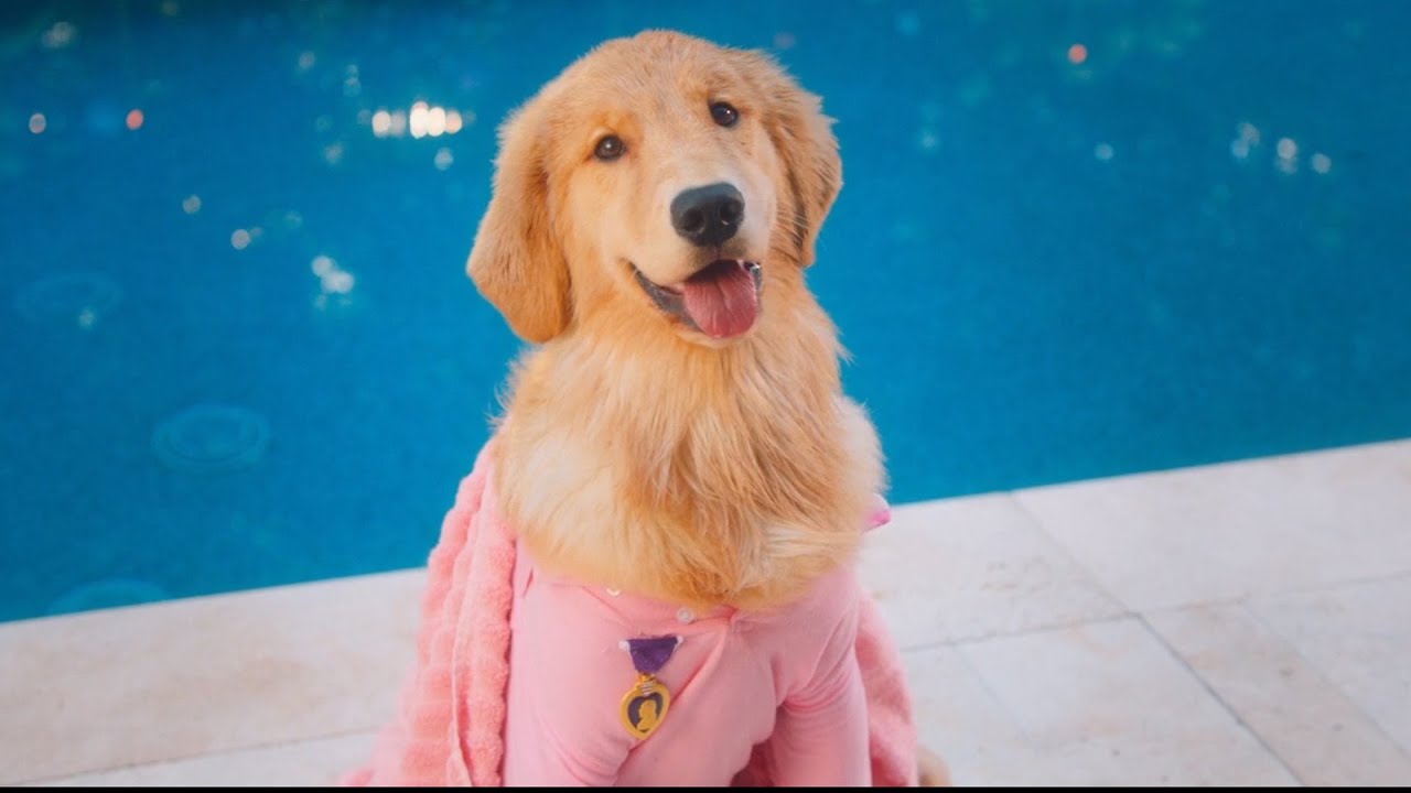 Julian Are You A Dog Now? - Greener Grass (2019) - Movie Clip