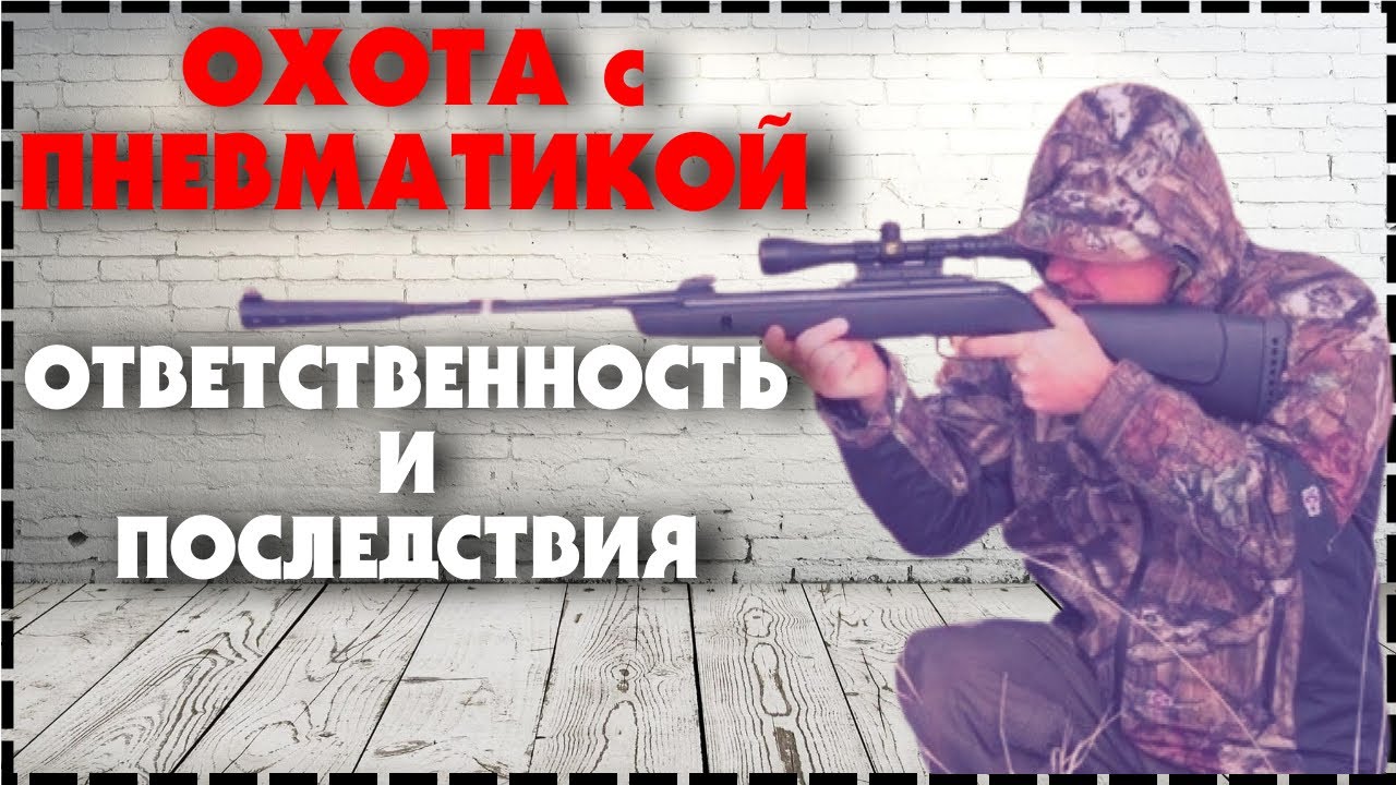 Охота С Пневматикой В России? / Ответственность и Последствия