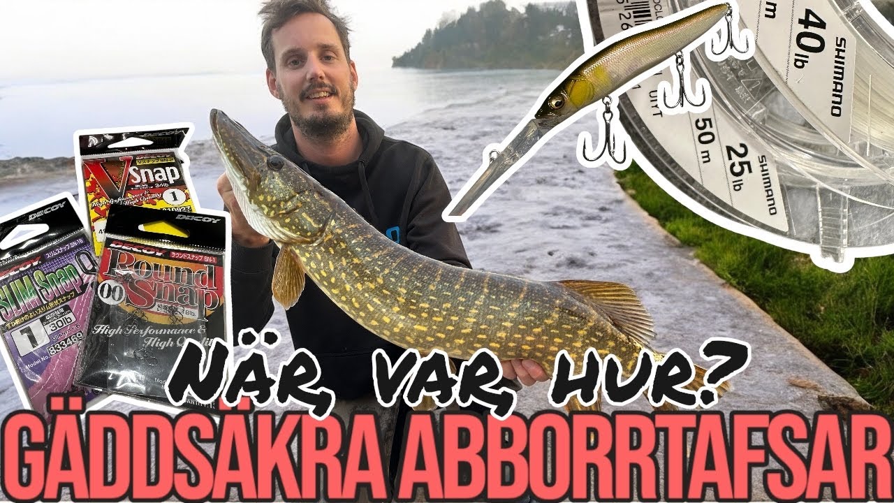 GÄDDTAFS vid ABBORRFISKE - SÅ VÄLJER JAG