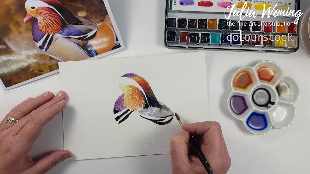 Mandarin Duck in Daniel Smith watercolors by Julia Woning