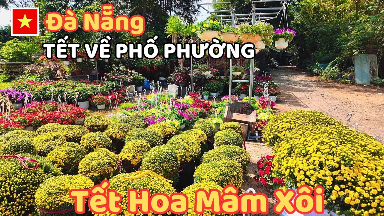 Chợ Đầu Mối Hoà Cường, Đà Nẵng hôm 21/1/26 | Tết về nhanh quá , Có chút hương Tết dù chưa nhiều lắm