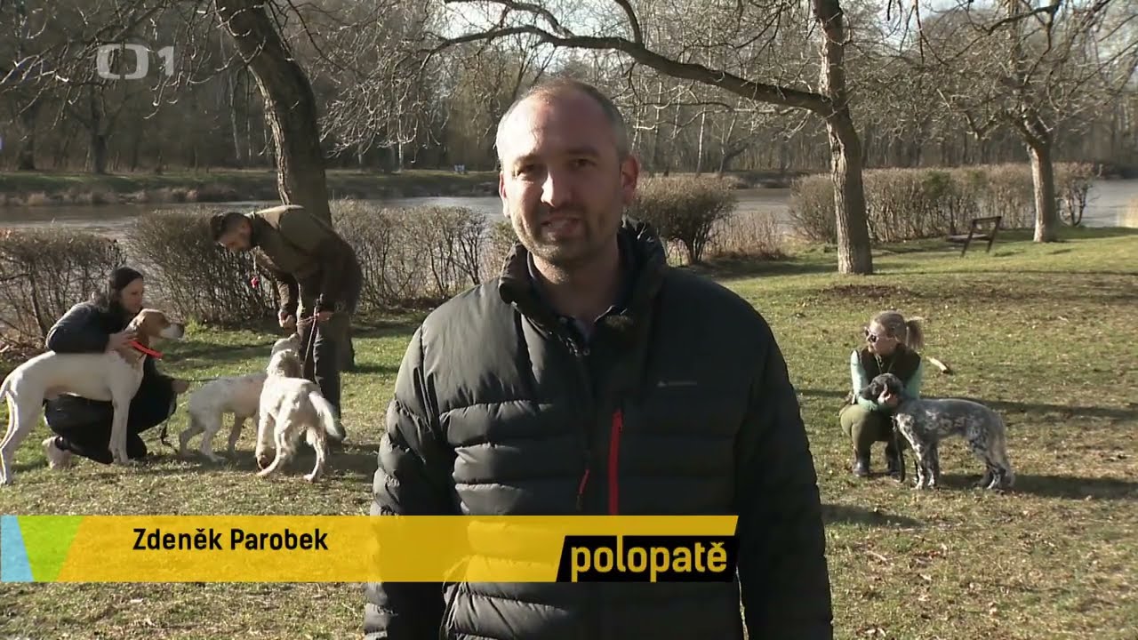 Elektronické obojky v pořadu Polopatě | Dogtrace