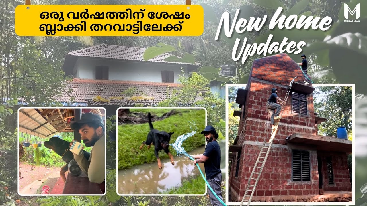 ഒരു വർഷത്തിന് ശേഷം ബ്ലാക്കി തറവാട്ടിലേക്ക്  | പുതിയ വീടിന്റെ പണി എവിടെയെത്തി? | Malabari Mallu Vlog