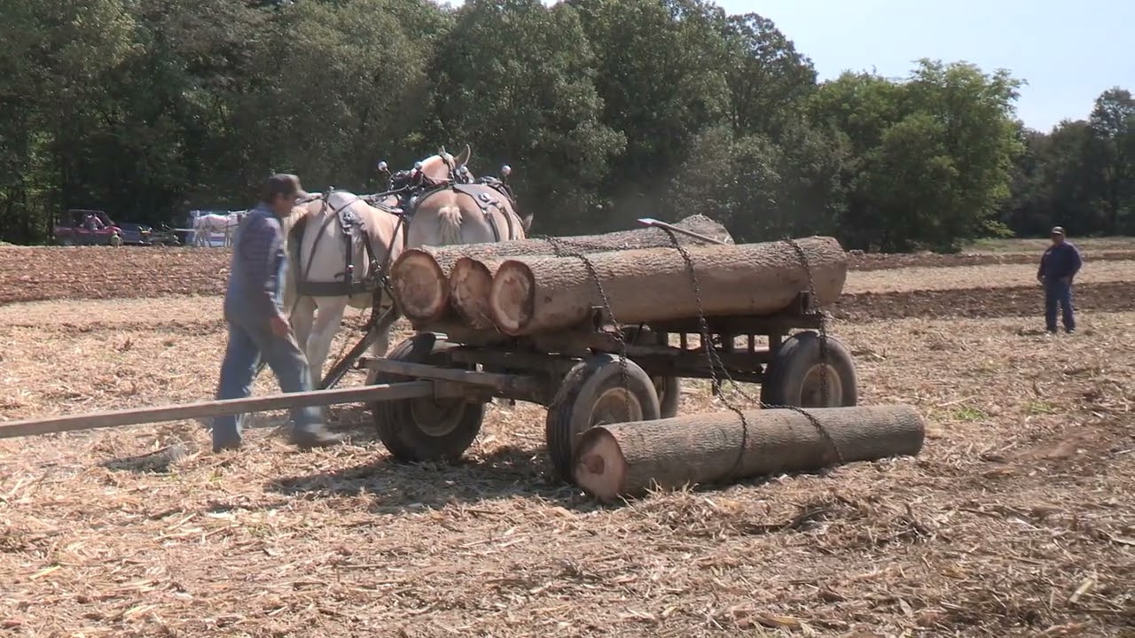 Cross-Haul Log Loading Demonstrated