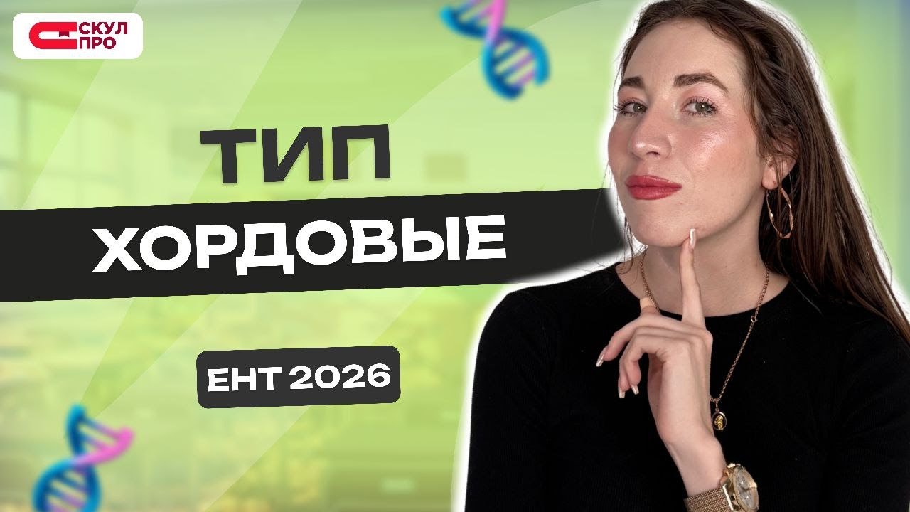 Тип Хордовые для ЕНТ 2026 по биологии | СКУЛПРО