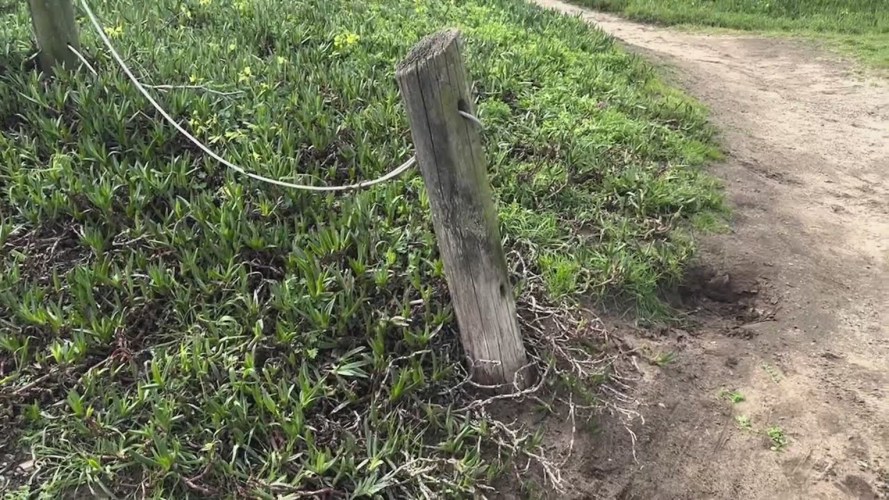 ‘Monstrous’ fence erected at Thornton State Beach to be dismantled
