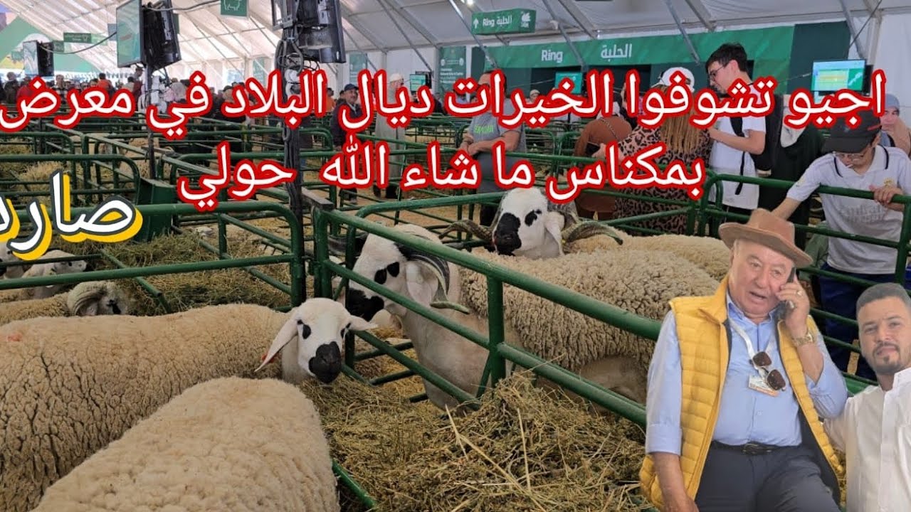 اجيو تشوفوا الخيرات ديال البلاد في معرض  بمكناس ما شاء الله  حولي صاردي