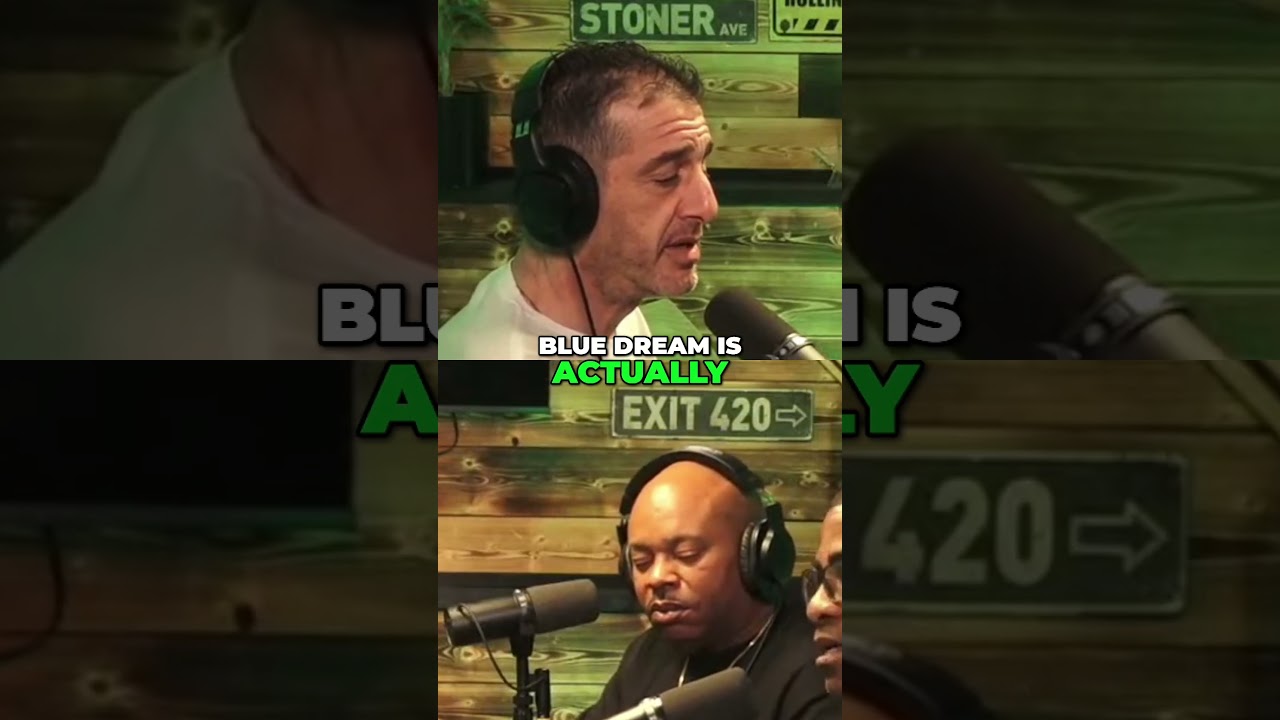 Blue Dream Strain  Effects, Benefits, and Hybrid Breakdown!