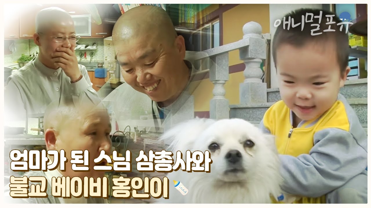 태어난지 60개월, 절에서 세 명의 엄마와 절친을 만났다! 나는 홍인이다 ㅣ KBS 인간극장 2012 방송