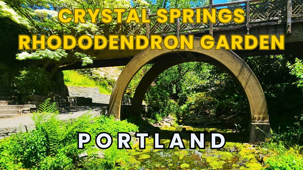 Explore Crystal Springs Rhododendron Garden In Portland Oregon Full Tour