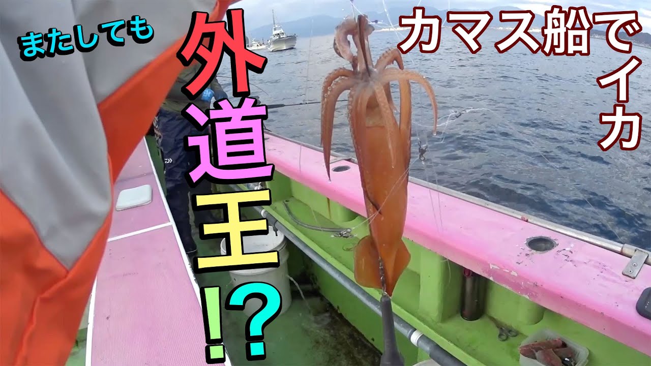 沖のカマス釣りでイカん!? 【またしても外道王？】