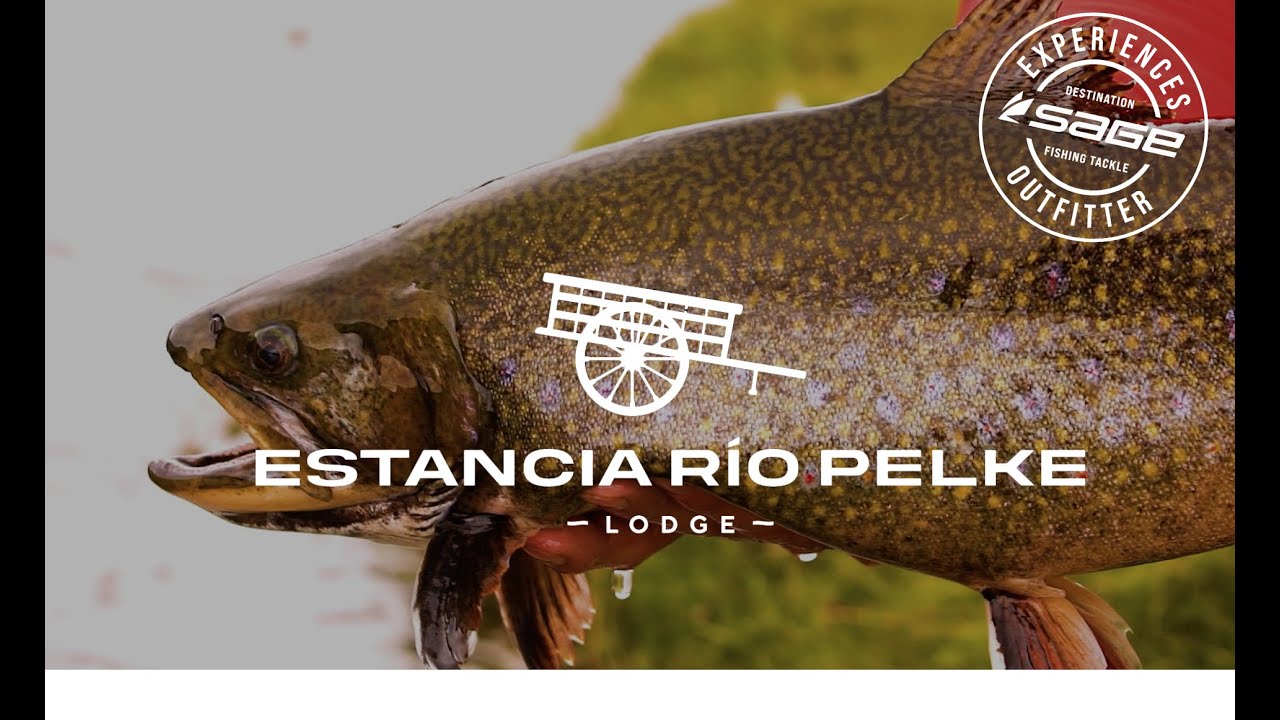 Fishing Brookies Down South - Tres Amigos, Rio Pelke - Sage Experiences