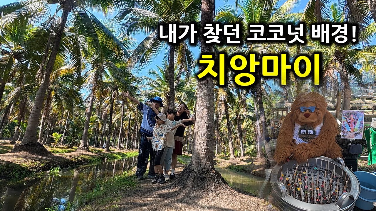 코코넛나무로 가득! 치앙마이 인생샷 포인트