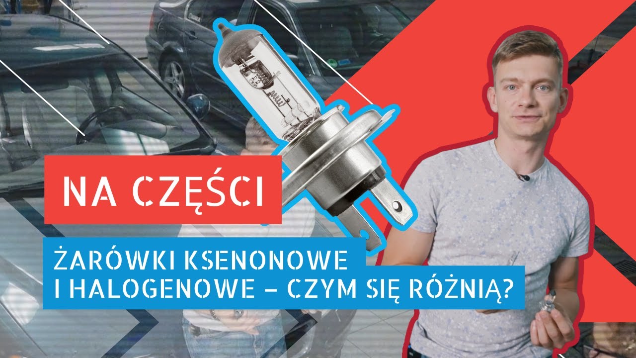 Żar&oacute;wki halogenowe i ksenonowe - czym się r&oacute;żnią? | Na części