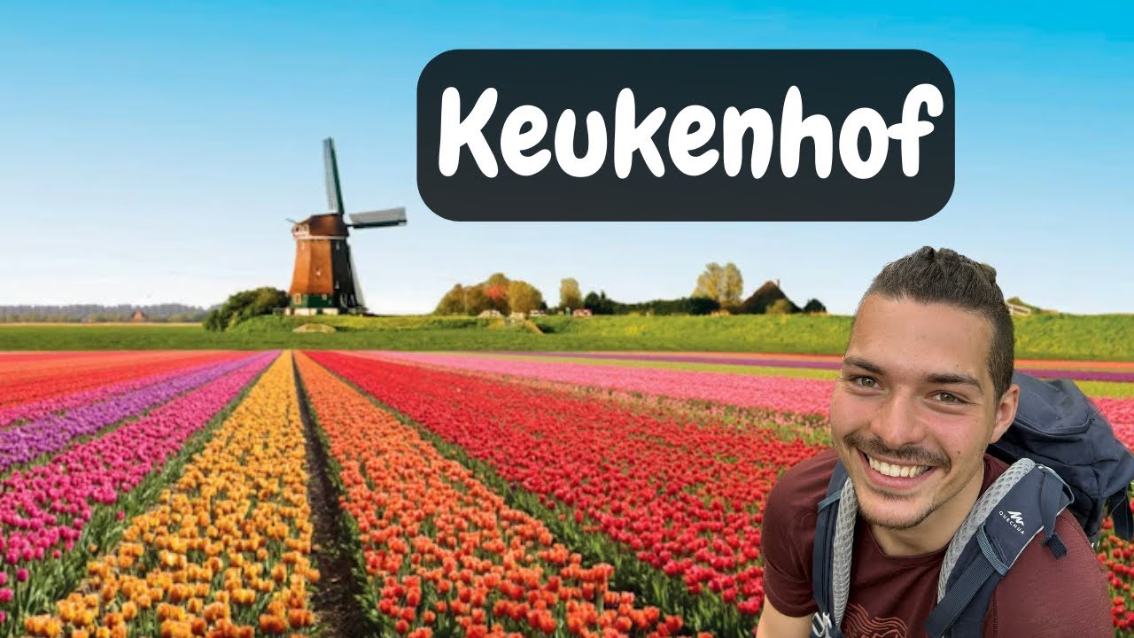 Tulip&aacute;nov&yacute; svět, Keukenhof Holandsko