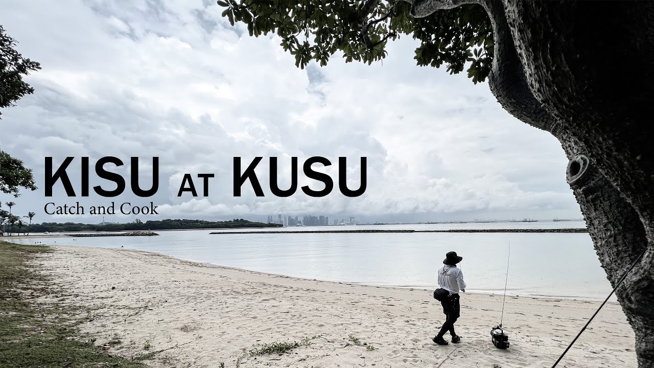 Fish that are Easy to Catch? | Kisu Catch and Cook | Kusu Island