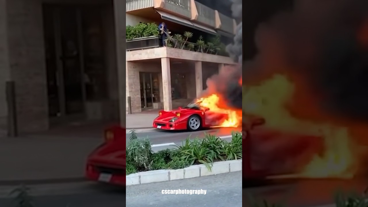 FERRARI F40 BURNS DOWN IN MONACO😱THE LEGENDARY STRAIGHT PIPED F40 FROM MONACO #ferrari #f40 #monaco