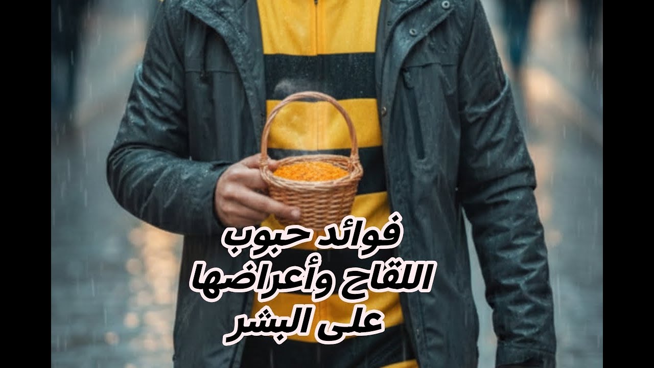 فوائد وأضرار حبوب اللقاح على صحة الإنسان #حبوب_اللقاح