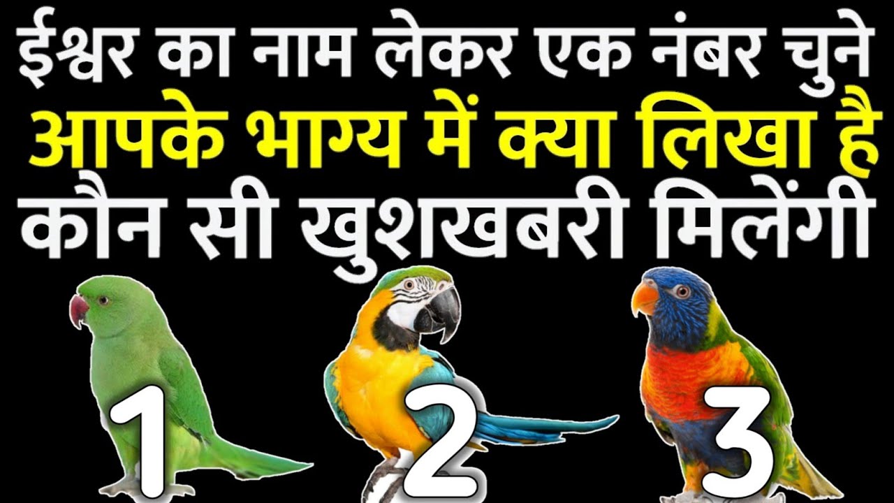tarot card reading आपके भाग्य में क्या लिखा है choose one number ❣️ कौन सी खुशखबरी मिलेंगी 