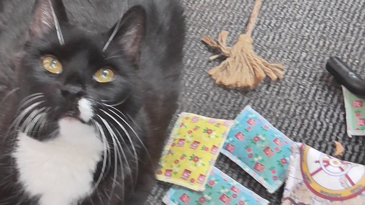 Aldi Einkauf und Balkon Tratsch