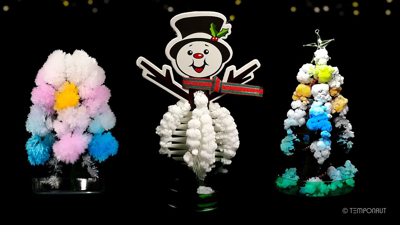 Magic Christmas Trees Timelapse