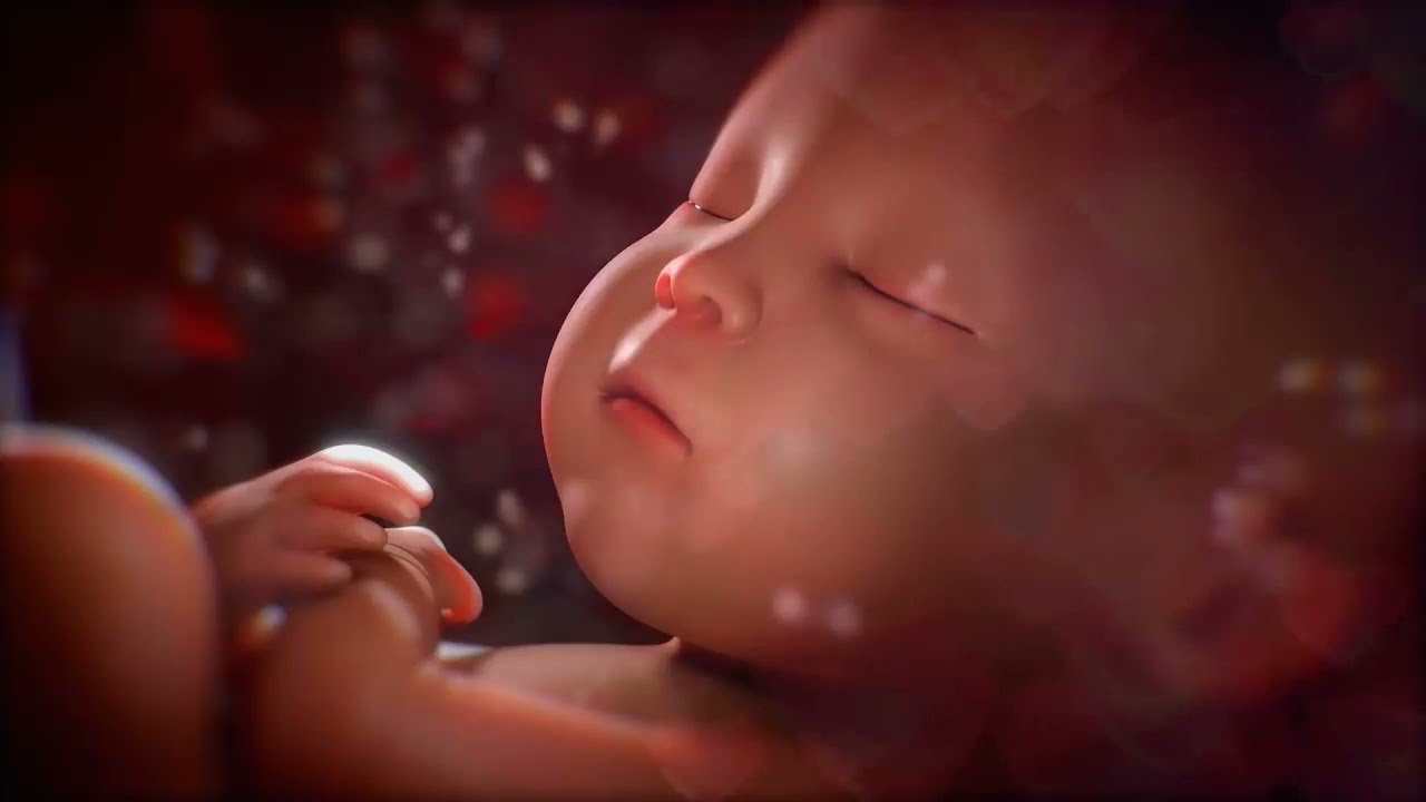 ♥ 10 horas ♥ ruído branco para dormir bebê 👶 intrauterino com batimento cardíaco 👶 bebê calmo
