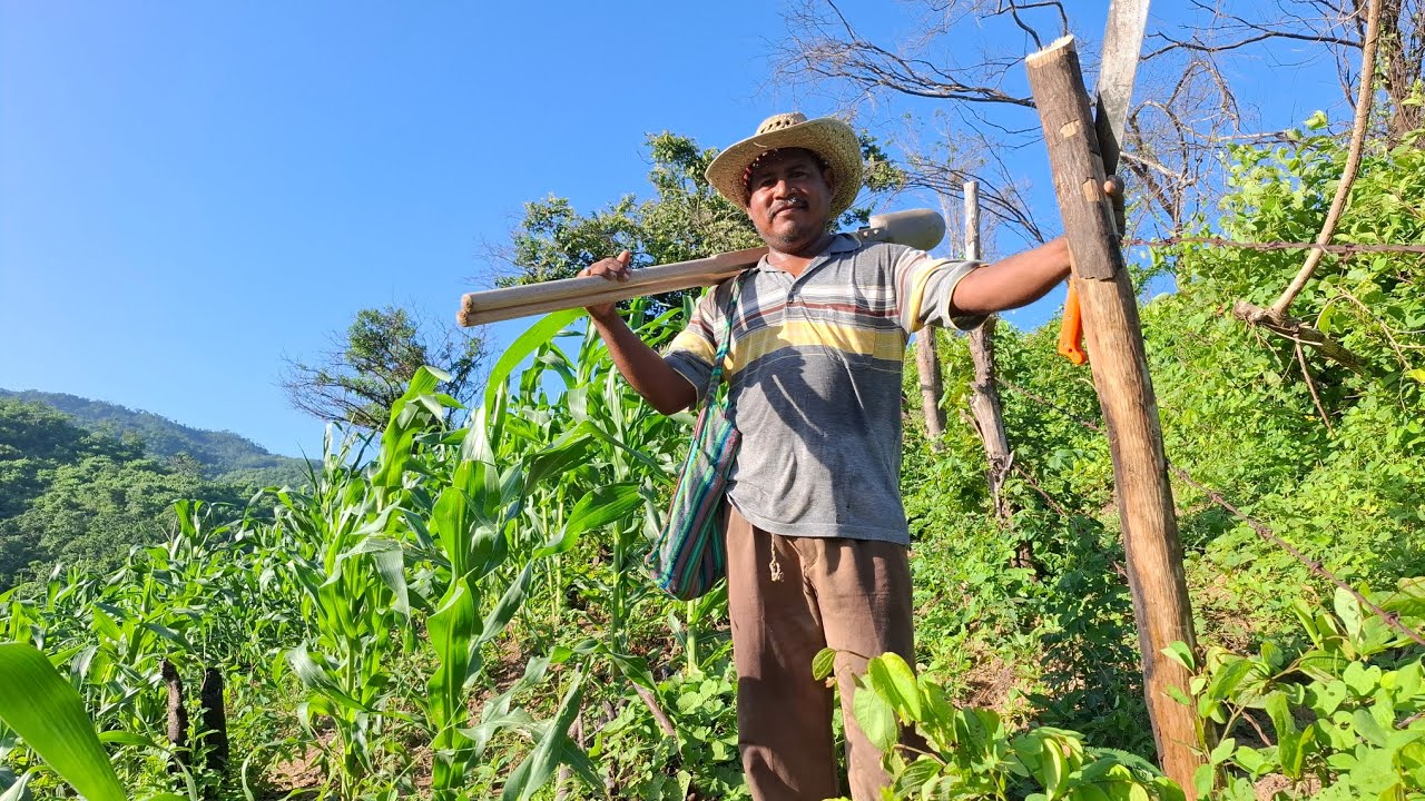 El cuidadano a nuestra milpa es diario 🌱🐎