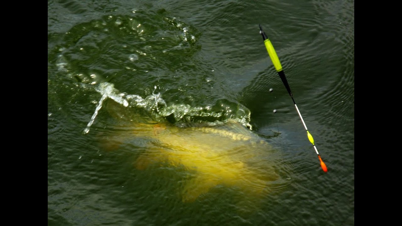 Jak navázat průběžnou montáž se splávkem?