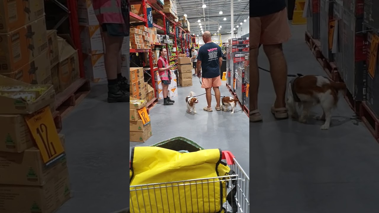Bunnings Visit 3