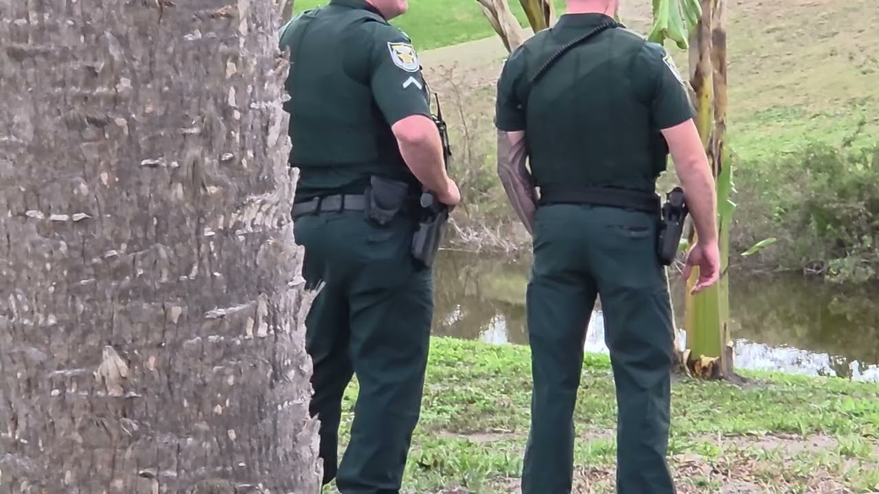 Police vs alligator in the yard