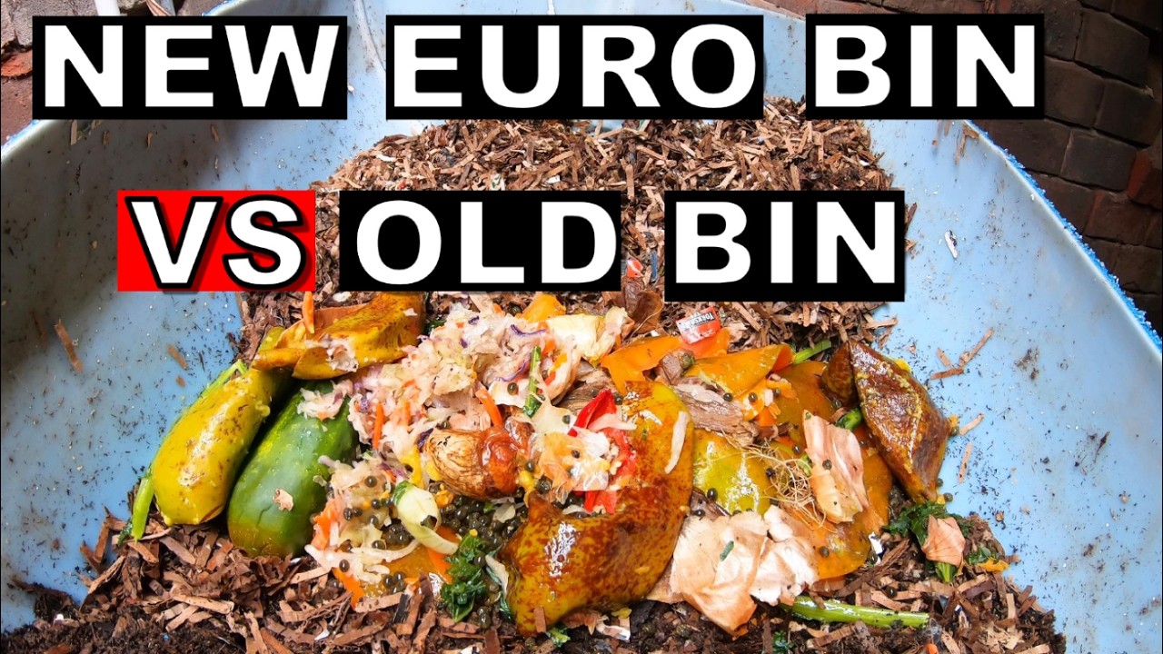 1 Month UPDATE on the NEW Bin vs OLD bin- European Night Crawlers Wedge System Worm Bin
