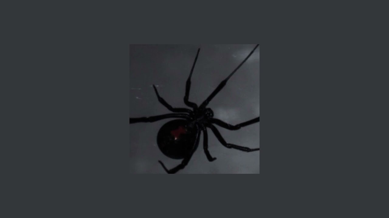 Iggy Azalea ft. Ora Rita - Black Widow ( Slowed & Reverb )