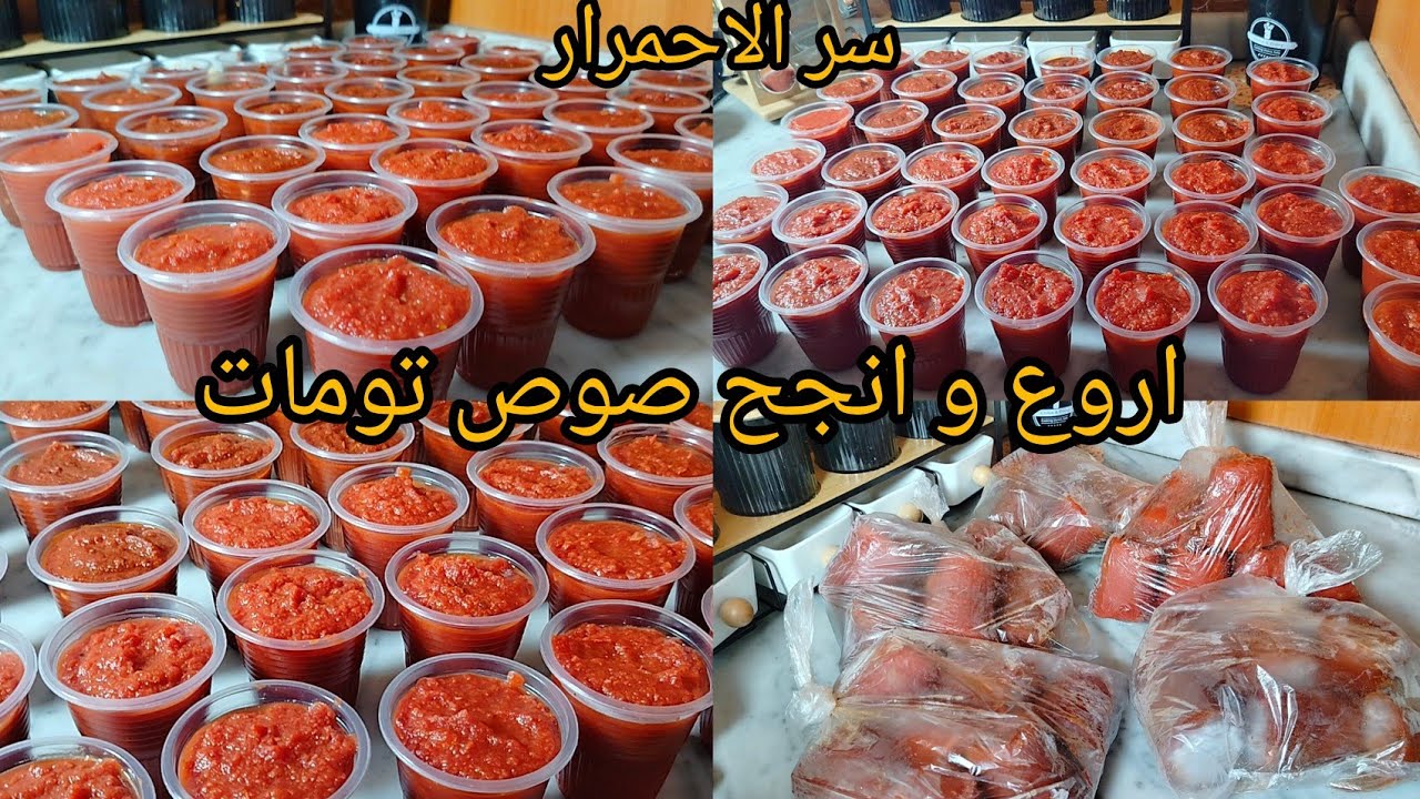 تحضيرات المرأة العاملة💪قبل الدخول المدرسي💥صلصة الطماطم بطريقة سهلة و ناجحة💯 مع سر الاحمرار📢