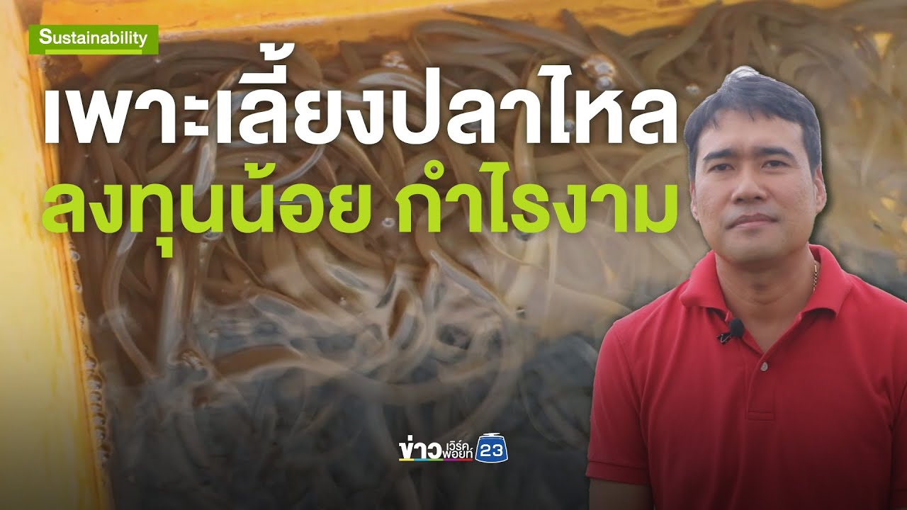 [Sustainable] เพาะเลี้ยงปลาไหล ลงทุนน้อย กำไรงาม